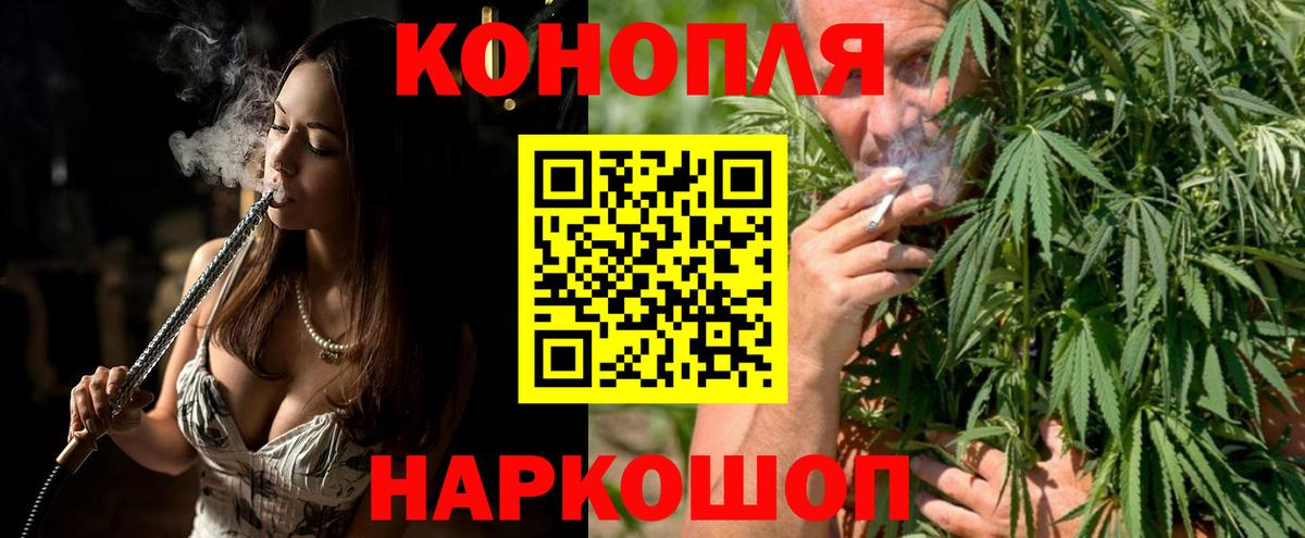 Каннабис сатива Саяногорск